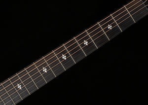 Taylor Next Generation Builder's Edition 514ce Shamel Ash/Spruce (051)