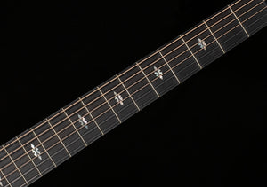 Taylor Next Generation 714ce Indian Rosewood/Cedar (004)