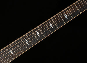 Next Generation Builder's Edition 814ce Indian Rosewood/Adirondack (037)