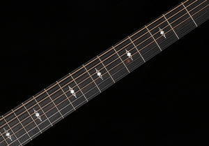 Taylor 314CE Special Edition Rosewood/Sitka Spruce (083)