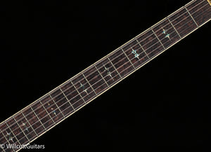 Scott Walker Custom Santa Cruz Legacy (901)