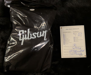 Gibson Adam Jones Les Paul Standard Silverburst (126)