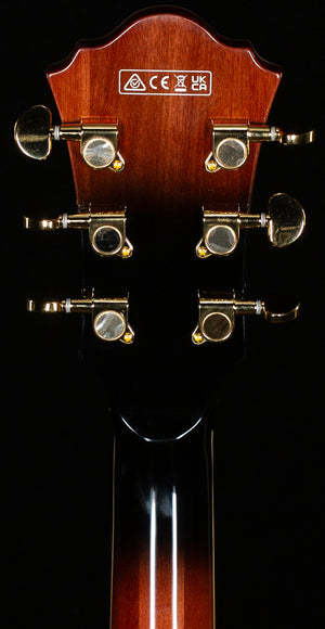 Ibanez Artcore Expressionist AS93QMSPDBS Semi-hollow Dark Brown Sunburst (970)