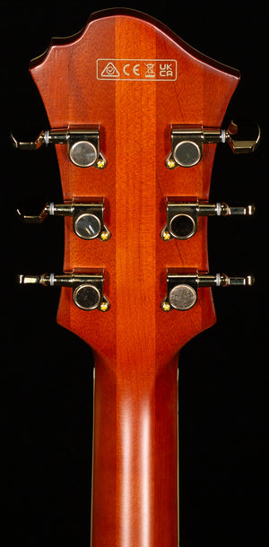 Ibanez PM3CNAL Pat Metheny Signature Hollowbody Natural Amber Low Gloss (430)