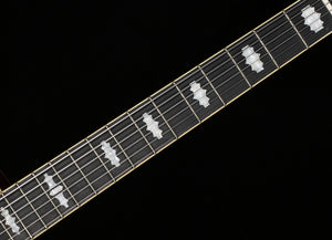 Ibanez PM3CNAL Pat Metheny Signature Hollowbody Natural Amber Low Gloss (430)