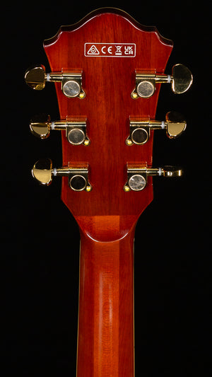 Ibanez Artcore Expressionist AG95MG Hollowbody Dark Amber (491)