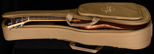 Taylor GS Mini Mahogany (327)