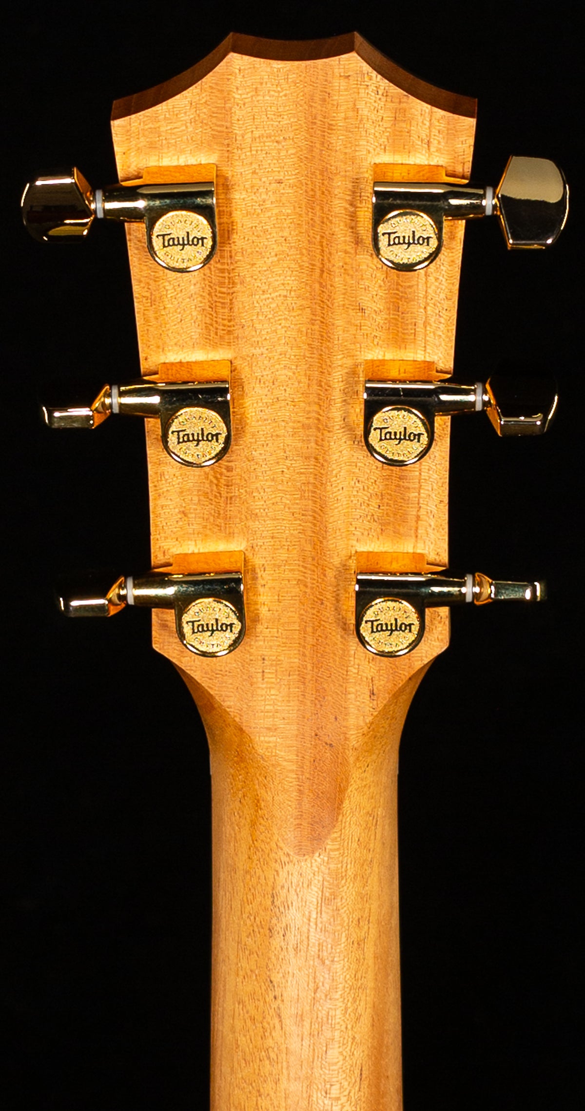 Taylor 217e Sunburst Plus LTD 50th Anniversary (316)
