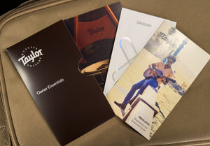 Taylor 24ce LTD Sapele/Mahogany ESB (343)