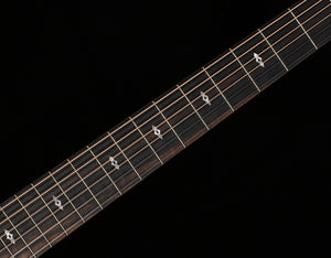 Taylor GS Mini-e Rosewood SB LTD 50th Anniversary (270)