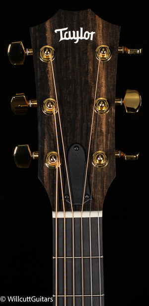 Taylor 222ce-K DLX (165)