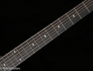 Taylor 222ce-K DLX (165)