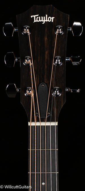 Taylor 110ce-S Sapele/Sitka (001)