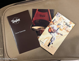 Taylor 110ce-S Sapele/Sitka (001)