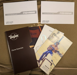 Taylor 24ce Sapele/Mahogany (299)