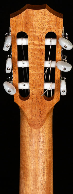 Taylor 212ce-N Plus Rosewood/Spruce (399)