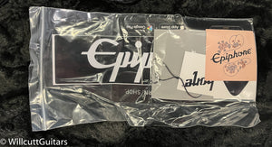 Epiphone Adam Jones Les Paul Custom Art Collection: Julie Heffernan’s “Self-Portrait as Not Dead Yet" (225)