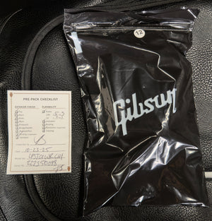 Gibson Les Paul Studio Wine Red (098)