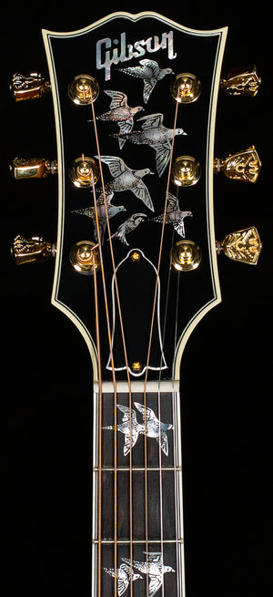 Gibson Doves in Flight Autumnburst (079)