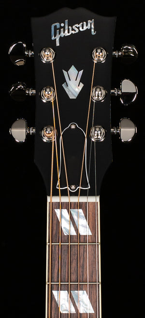 Gibson Hummingbird Standard EC Ebony (072)