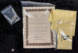 B3 Gene Baker Phoenix V Distressed Korina (009)