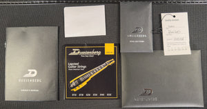 Duesenberg Fairytale Lap Steel Catalina Harbor Green (138)