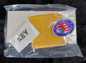 Rickenbacker 330 FireGlo (717)