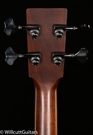 Martin BC-16E Rosewood (819)