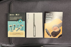 Martin D-16E Rosewood (274)