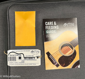 Martin D-15M StreetMaster (178)