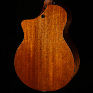 Martin SC-18E L.R. Baggs (156)