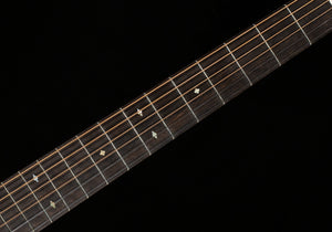 Collings D2HA Adirondack Spruce Top Traditional Package (933)