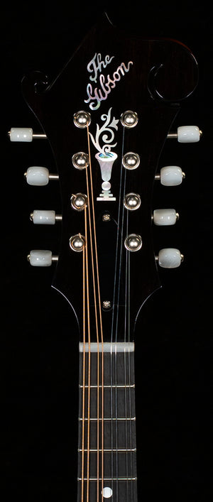 Gibson Mandolin F-5G Dark Burst (022)