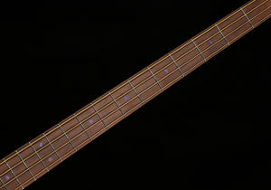 Rick Turner RB4 Standard 4-String Bass Purple Rain (927)