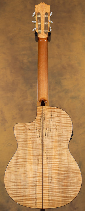 Cordoba C5-CET Limited Classical with Electronics