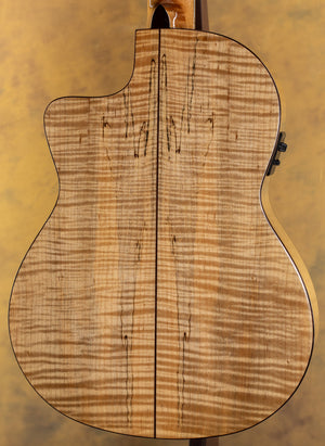 Cordoba C5-CET Limited Classical with Electronics