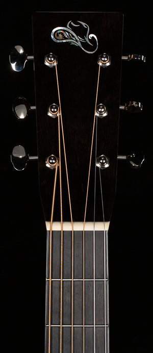 Santa Cruz Brad Paisley PreWar (884)