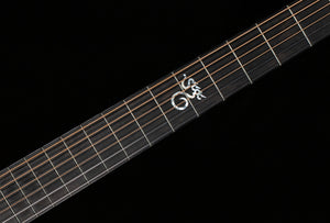 Santa Cruz Brad Paisley PreWar (884)