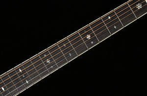 Santa Cruz D Nershi Model Guitar (888)