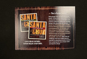 Santa Cruz D Model Guitar Tony Rice Specs (944)