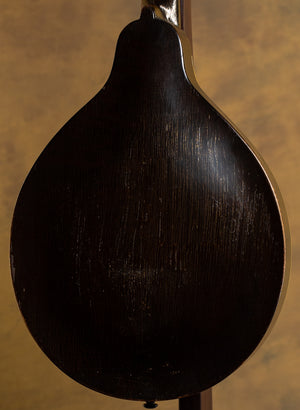 Gibson USED A Style, Snakehead Mando, Black cir 1925