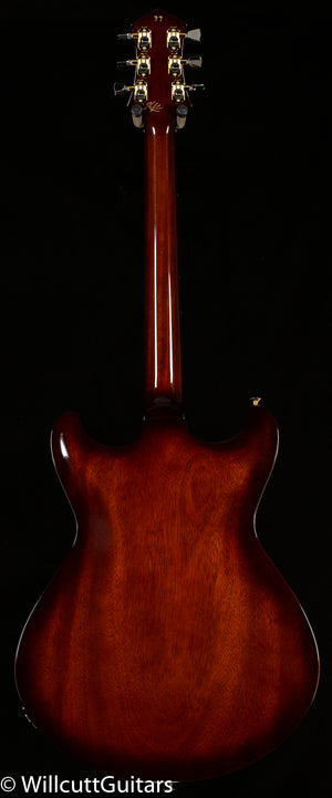 Knaggs Influence Sheyenne Sunflower Burst T1 (99)