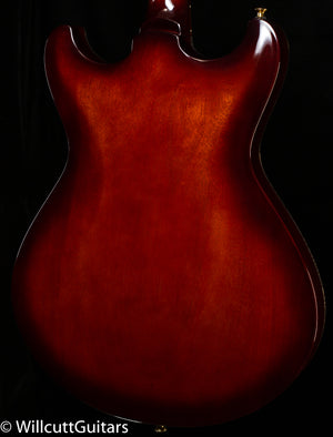 Knaggs Influence Sheyenne Sunflower Burst T1 (99)