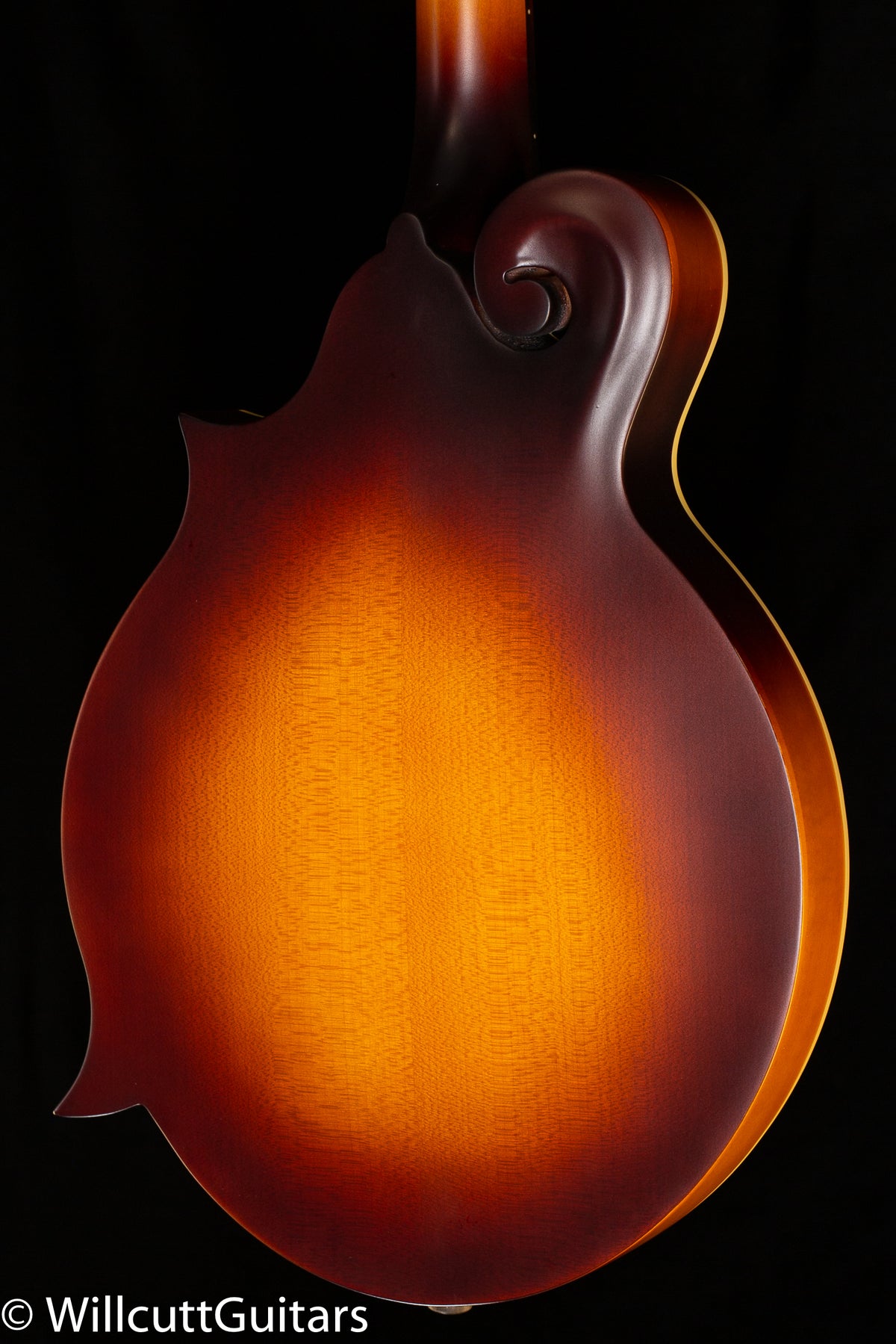 Loar LM-590 F Mandolin All Solid Matte Sunburst (779)