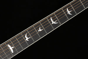 PRS SE PE20 Parlor Acoustic Dog Hair Gloss Top Satin Back (278)