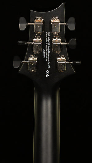 PRS SE PE20 Parlor Acoustic Dog Hair Gloss Top Satin Back (278)