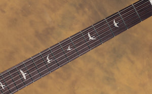 2022 PRS SE Silver Sky Ever Green