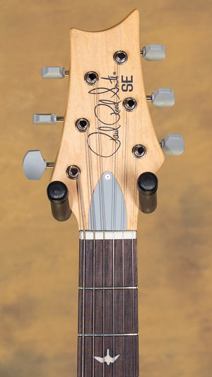 2022 PRS SE Silver Sky Ever Green