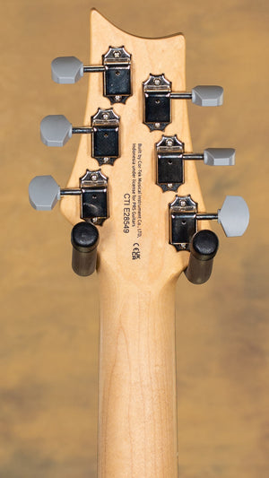 2022 PRS SE Silver Sky Ever Green