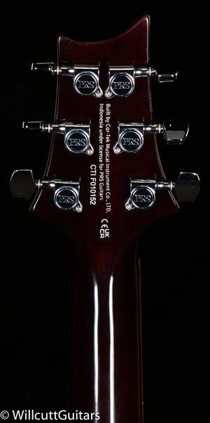 PRS SE DGT David Grissom, Carved Maple Gold Top (152)